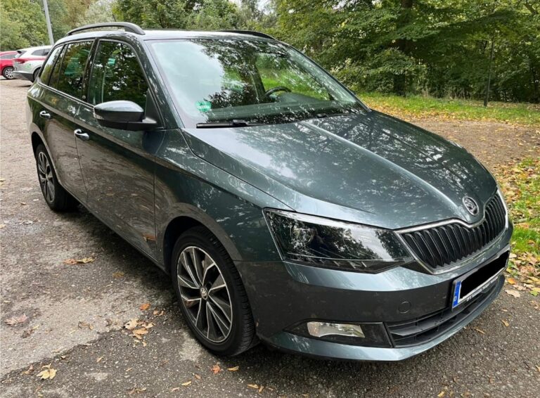 Selbst ist der Fahrer: Steinschlag in der Windschutzscheibe effektiv reparieren